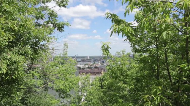 City View Through the Trees