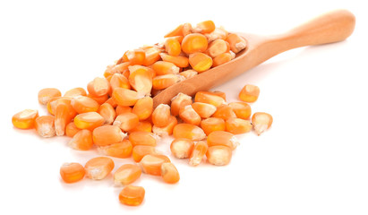 Food ingredients: heap of dried corn seeds in a wooden scoop, on white background