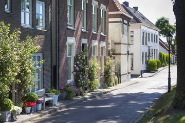 Cozy street with flowers