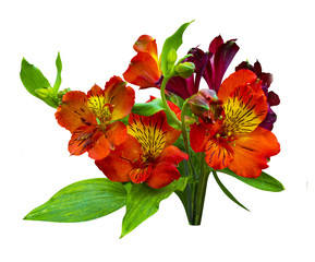 bouquet of flowers. Alstroemeria. Bouquet of flowers Alstroemeria. Flowers Alstroemeria. Bouquet of alstroemeria flowers isolated on white background