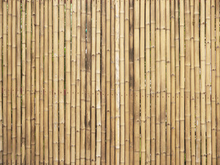 Obraz premium bamboo fence background
