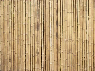 Photo sur Aluminium Bambou bamboo fence background
