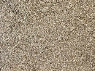 wet stone floor texture