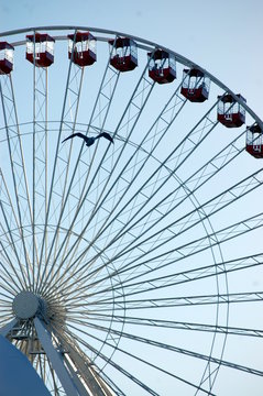 Chicago Ferris Wheel and a Bird