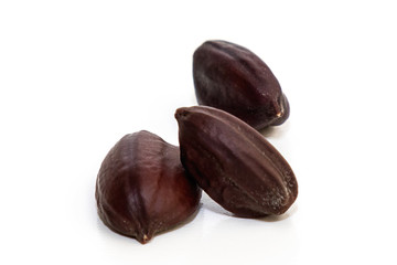 Jojoba seeds. Simmondsia Chinensis.