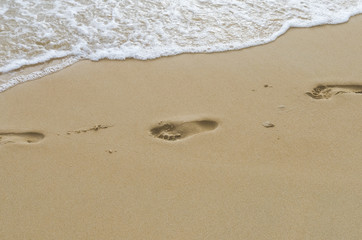 Fototapeta na wymiar Copy space of footprint on sand beach texture background.