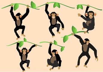 Obraz premium Cartoon funny monkeys vector set