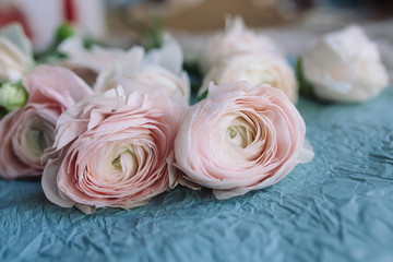 pale pink and white ranunculus bouquet on a blue background, on blue crepe paper. Flowers. Ranunculus asiaticus, Persian buttercup