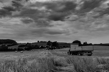 Tractor with trailer on the wheat field b&w