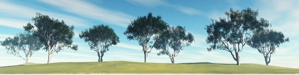 Trees in a row, old eucalyptus against the sky, 3d rendering