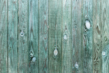 The old green wood texture with natural patterns