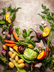 Fresh raw vegetable ingredients