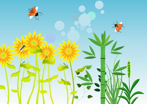 Sunflowers and bugs on blue sky background, vector illustration