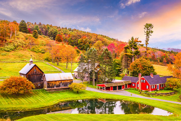 Rural Autumn Vermont - obrazy, fototapety, plakaty