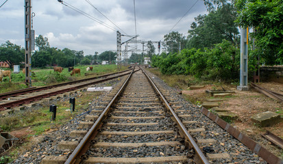 Naklejka premium July 27, 2017. Train tracks of the Indian railways running through Purulia , West bengal, India. A passenger train is passing by.