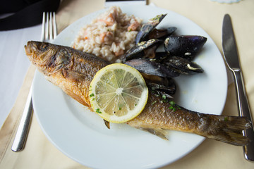 Grilled fish with cooked abalones and risotto