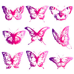 beautiful pink butterflies, isolated  on a white