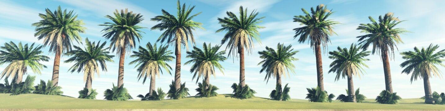 Trees in a row, palms against the sky, 3d rendering