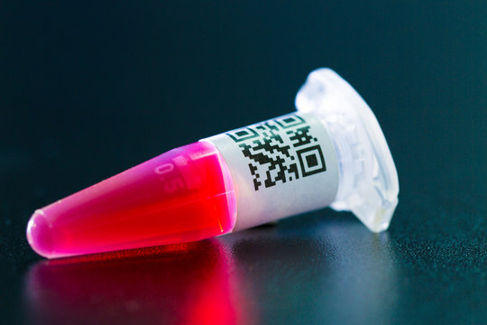 centrifuge test tubes for genetic identification of parent, DNA-Based Human Identification qr code