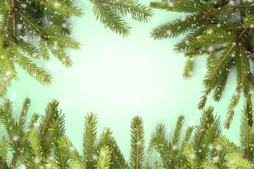 Obraz premium Frame of coniferous tree branches on color background. Snow effect