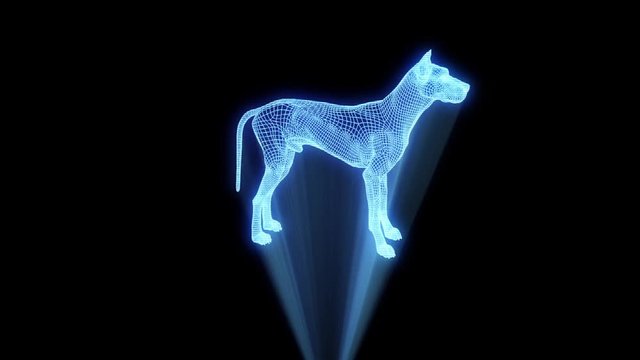 Dog in Hologram Wireframe Style. Nice 3D Rendering
