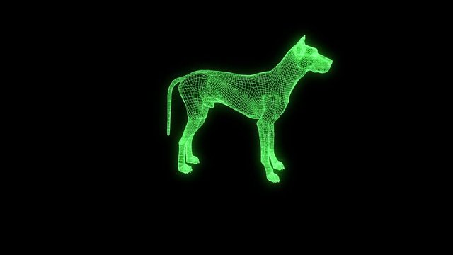 Dog in Hologram Wireframe Style. Nice 3D Rendering
