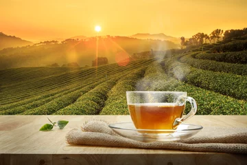 Fotobehang Kopje hete thee en theeblad op de houten tafel en de achtergrond van de theeplantages © DN6