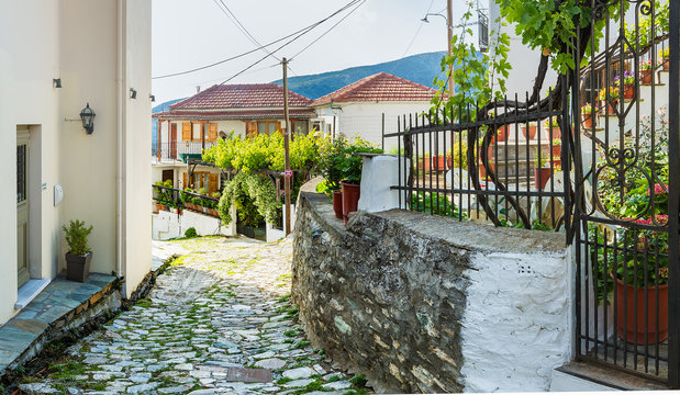Greek village of Portaria, 13 km from the city of Volos