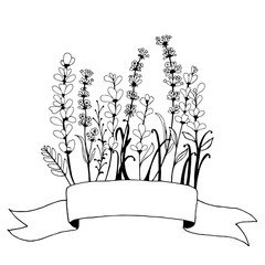 Hand drawn banner frame with flowers. Lavender hand drawn.