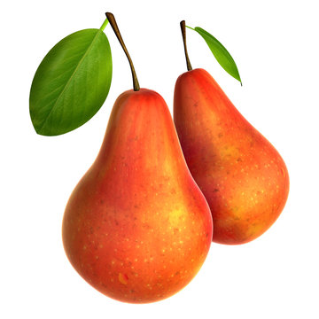 Two Fresh Red Pears. Foods and Dishes Series.