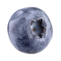 blueberry isolated on white