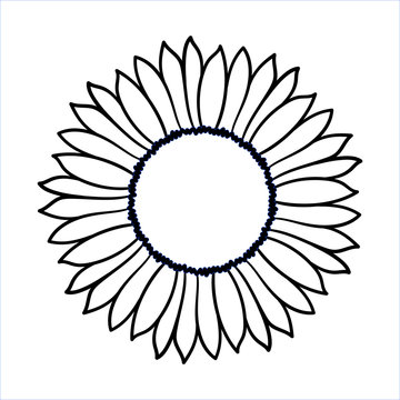 Vector doodle sunflower illustration. Simple hand drawn icon of flower with yellow petals isolated on white background. Line cartoon style.
