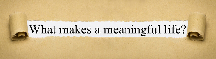 What makes a meaningful life?