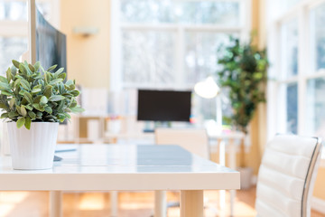 Bright interior workstation with desk and office equipment