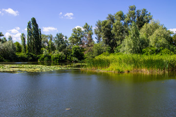 Fototapeta premium Beautiful lake on summer