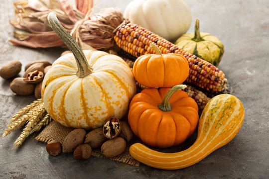 Fall still life with pumpkins and corn