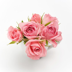 still life of pink rose in ceramic cup