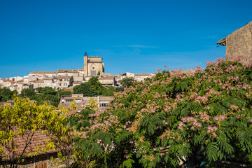 Vue sur le village de Valensole, Provence, France. Arbre d'albizia en fleurs au premier plan.