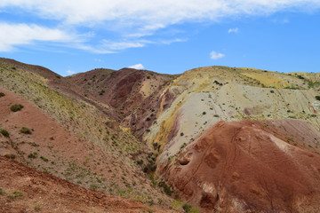 Obraz premium Red hill slopes with succulents in Altai mountains. Altay Republic, Siberia, Russia.