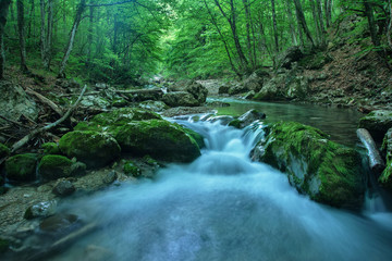 Naklejka na ściany i meble Mountain river in a wild forest, the stones grew with moss
