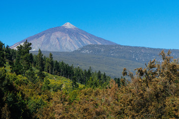 Nationalpark El Teide, Teneriffa, 2017