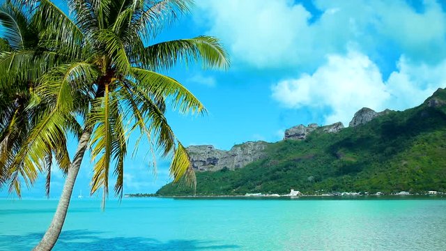 Plage paradisiaque sur une &icirc;le de r&ecirc;ve &agrave; Tahiti en Polyn&eacute;sie Fran&ccedil;aise. Parfaite pour les voyages et les vacances sous les palmiers et le soleil sur la plage - Voyage et tourisme concept
