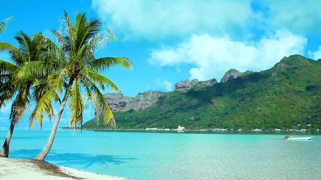 paysage de plage paradisiaque &agrave; tahiti, polyn&eacute;sie 
