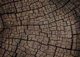 Patterns of old wooden surfaces that crack naturally.