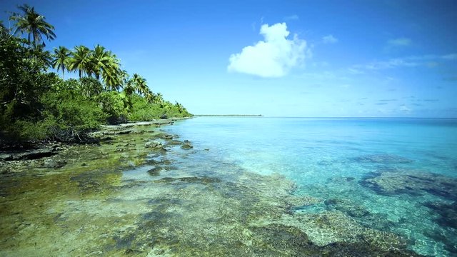 paysage de plage paradisiaque &agrave; tahiti, polyn&eacute;sie 