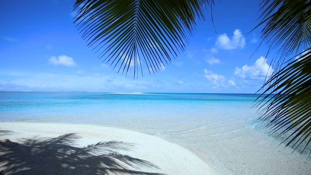 paysage de plage paradisiaque &agrave; tahiti, polyn&eacute;sie 