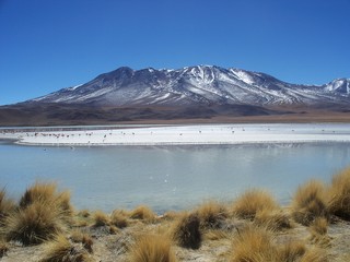 bolivie uyunie montagne lac désert sauvage aride