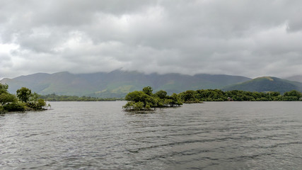Small island of trees on a lake on a cloudy day