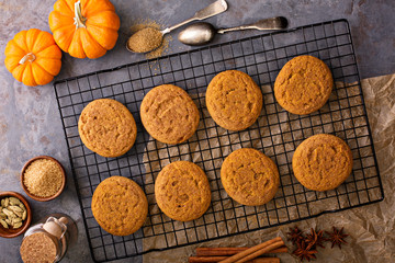 Fall snickerdoodle cookies with pumpkin