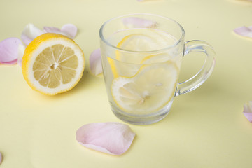 Water for summer with vegetable